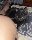 Анкета проститутки Галина - метро Тверской, возраст - 23